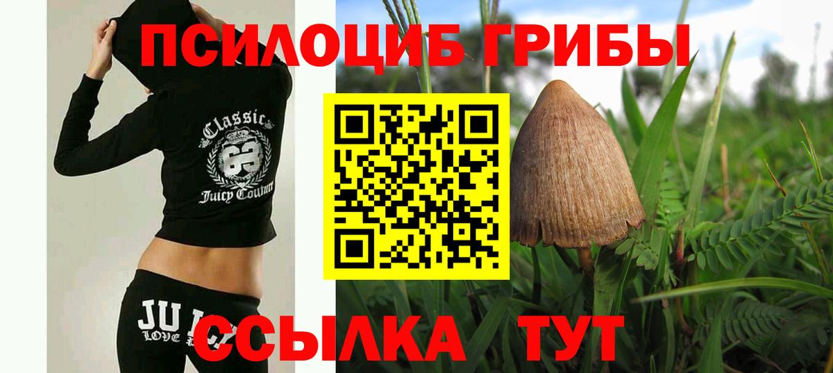 Псилоцибиновые грибы мицелий  Вход с VPN  закладки  Бор 